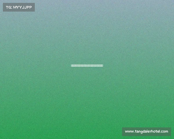 西甲联赛控卫发展趋势及其对球队战术的影响分析